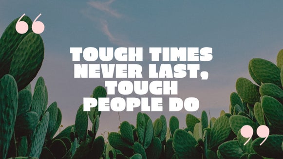 Motivational quote displayed over a cactus background with stylized pink quotation marks