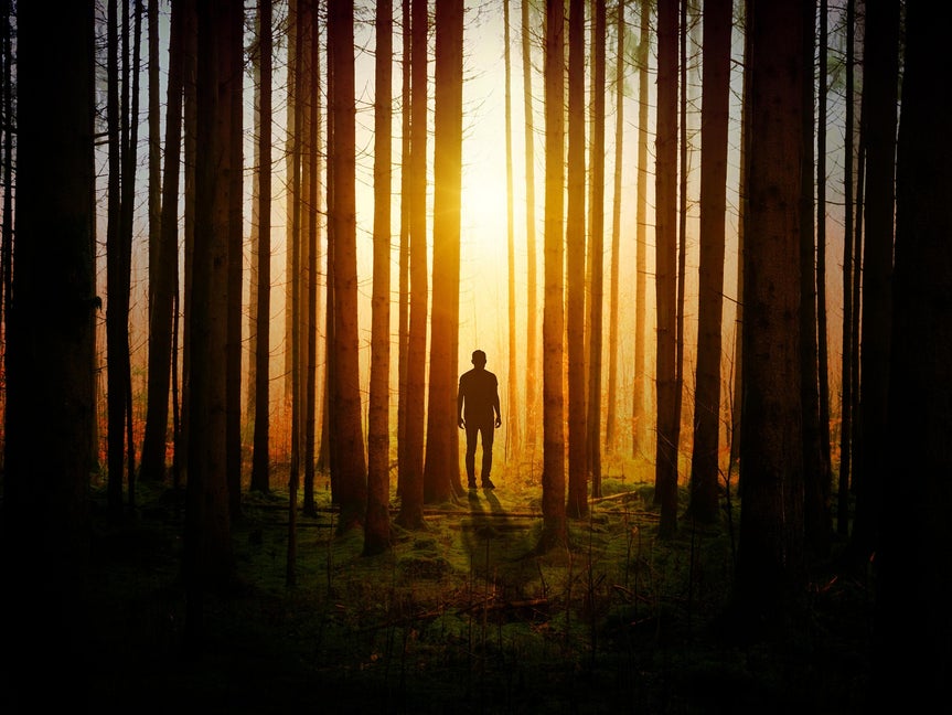 Dark forest scene with a silhouetted figure before applying lens flare effect