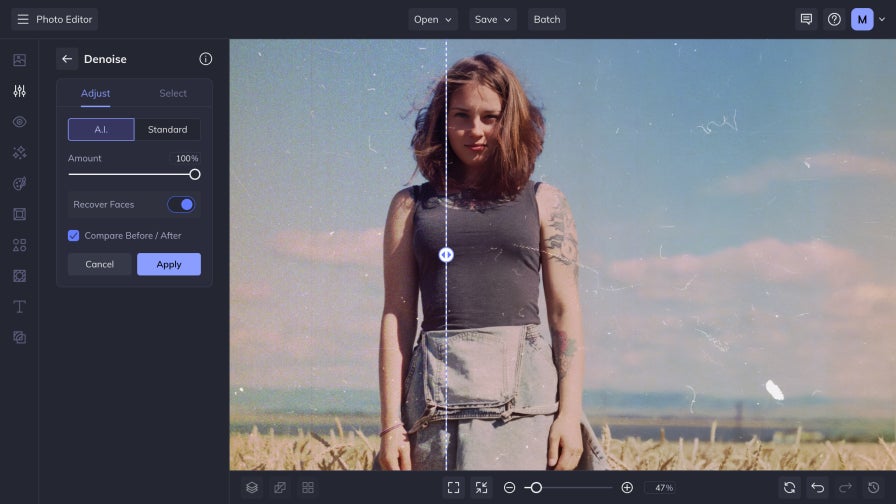 Photo editor interface showing a landscape portrait with denoise tool applied on half