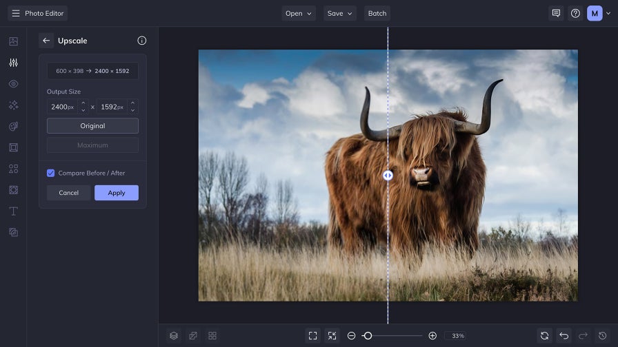 Highland cow photo upscaled in photo editor, showing resolution increase and detail recovery