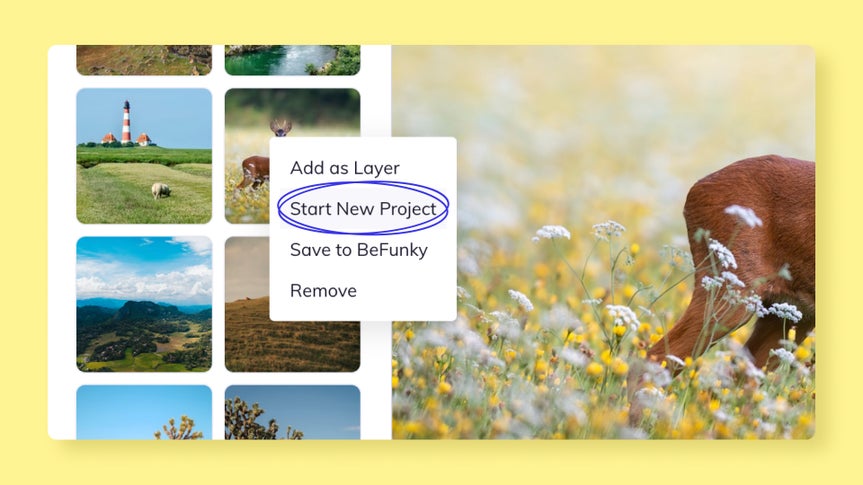 Image manager screen with menu showing option to start a new project from selected photo