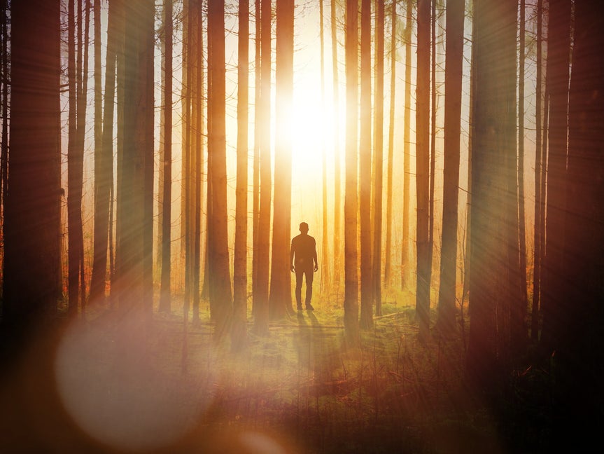 Sunlit forest with a glowing lens flare added to highlight the silhouetted figure