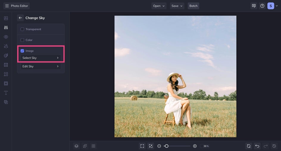 BeFunky’s Sky Replacer tool open with a default photo of a woman sitting in a field. The sky is overcast, and no sky replacement has been selected yet. The sidebar shows “Select Sky” as the next step.