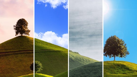 Four-season landscape created using sky replacer to show spring, summer, fall, and winter