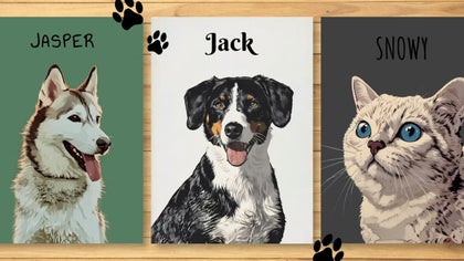Illustrated cartoon-style portraits of pets showing artsy effects