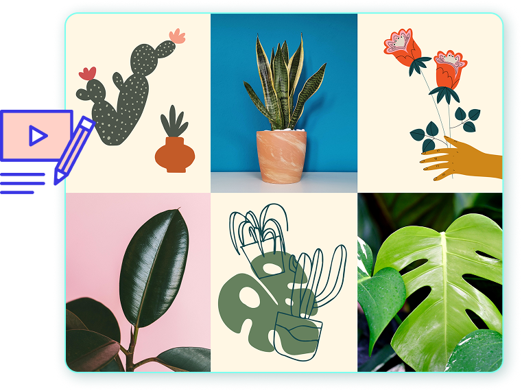 Collage featuring artistic portraits, botanical illustrations, and creative design projects